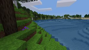 Capture d'écran du jeu Minetest