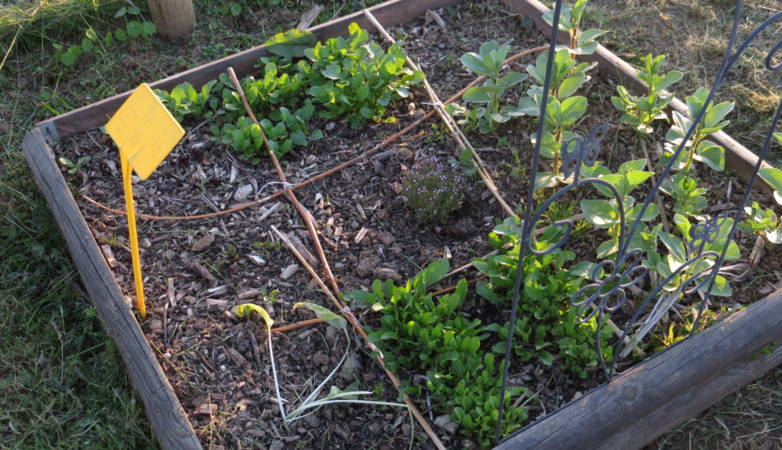 bac de jardinage